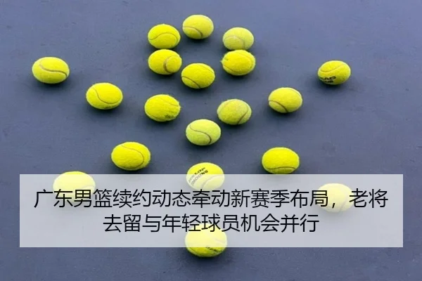 广东男篮续约动态牵动新赛季布局，老将去留与年轻球员机会并行